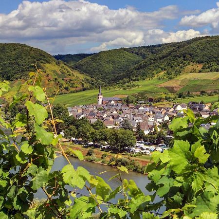 Moselhof Ferienwohnungen Бруттиг-Фанкель Экстерьер фото