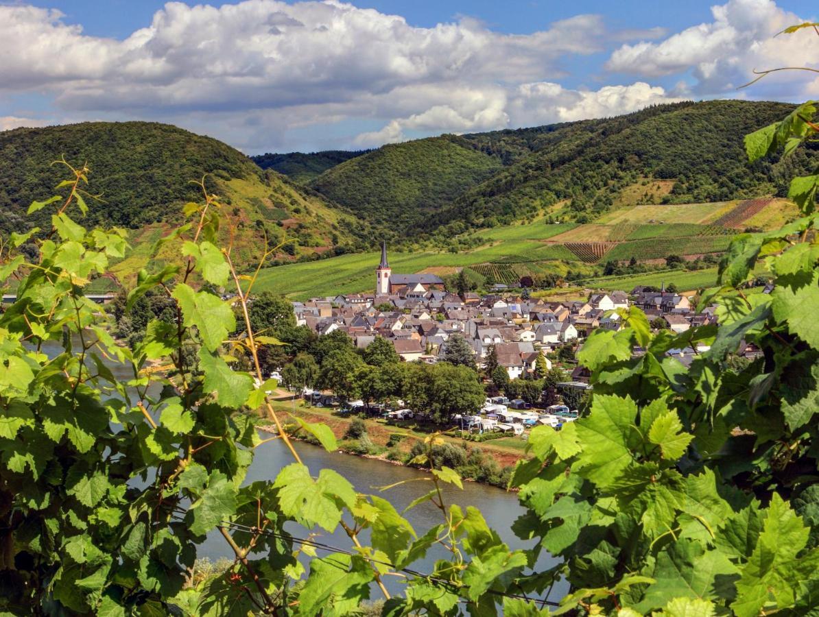 Moselhof Ferienwohnungen Бруттиг-Фанкель Экстерьер фото